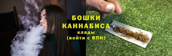 ПСИЛОЦИБИНОВЫЕ ГРИБЫ Белоозёрский