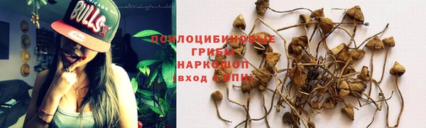 ПСИЛОЦИБИНОВЫЕ ГРИБЫ Белоозёрский
