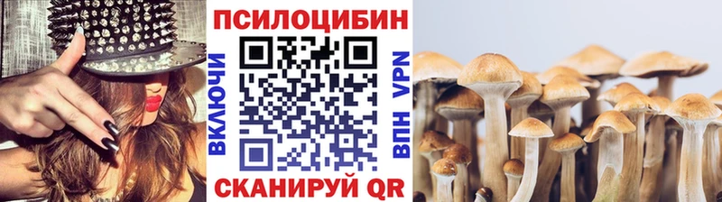 Псилоцибиновые грибы GOLDEN TEACHER  Касли 